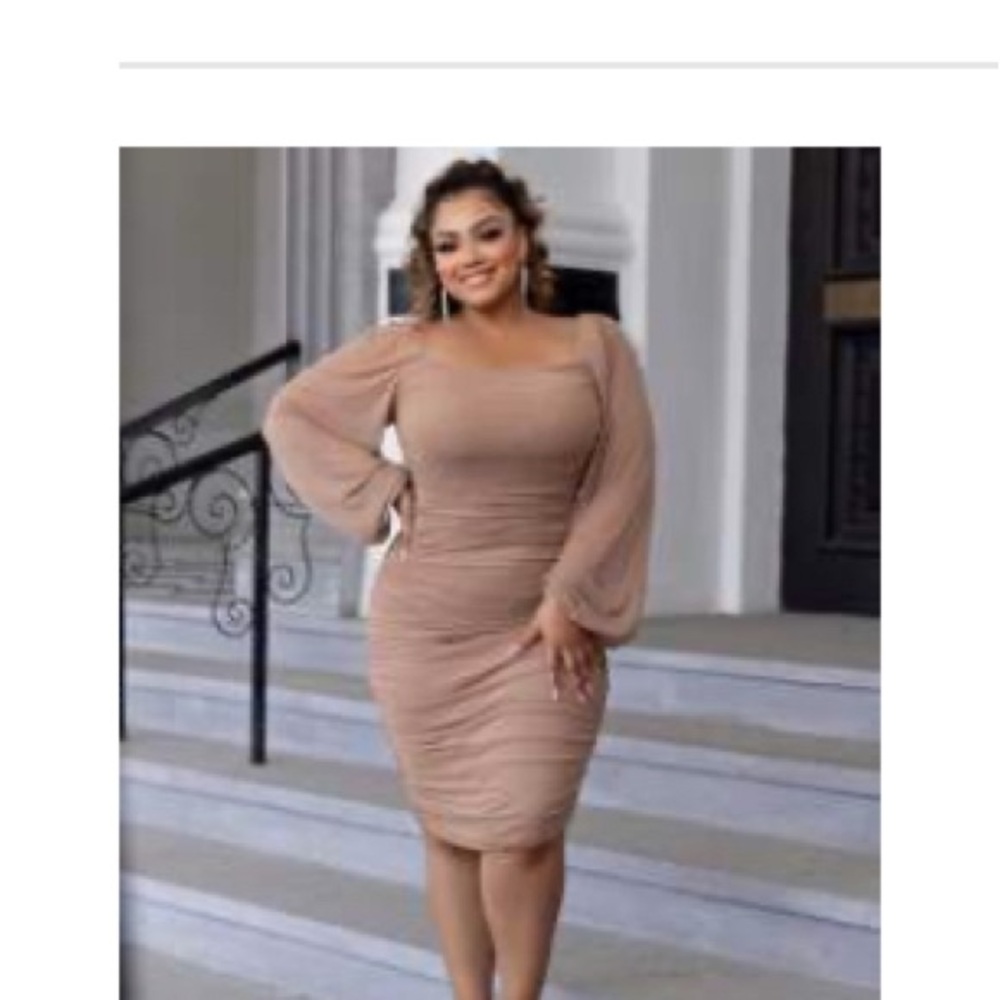 Elegant Tan Dress with Sheer Sleeves